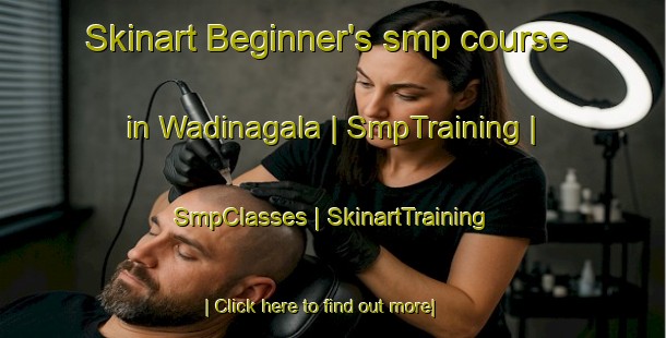 Skinart Beginner's smp course in Wadinagala | SmpTraining | SmpClasses | SkinartTraining-Sri Lanka